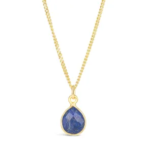 Lapis Lazuli Charm Necklace in Gold September Birthstone